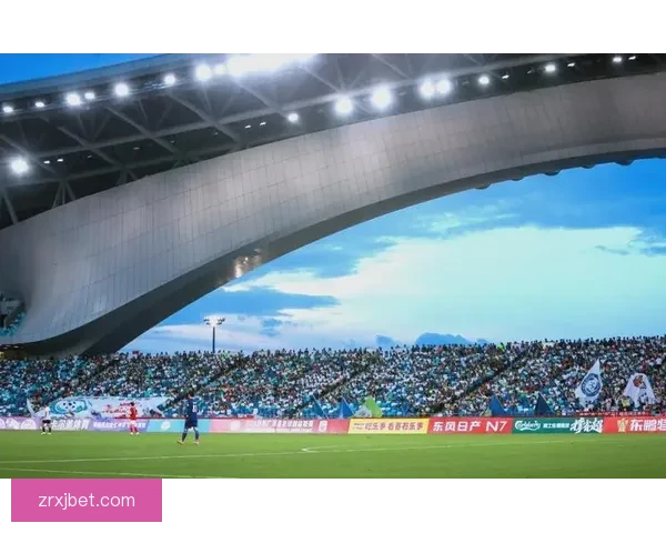 聚焦2026世界杯球场城市群的赛事文化与体验全景解析深度观